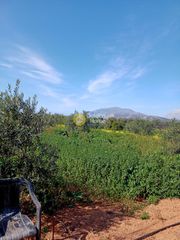 Αγροτεμάχια 972 τ.μ. για πώληση