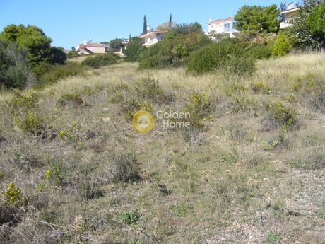 Οικόπεδο 738τ.μ. για πώληση-Κορωπί » Άγιος δημήτριος