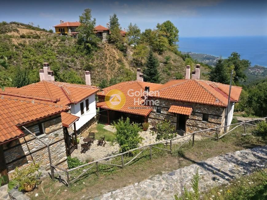 Ξενοδοχείο 450 τ.μ. προς πώληση, Άγιος Παντελεήμονας Βεργίνας