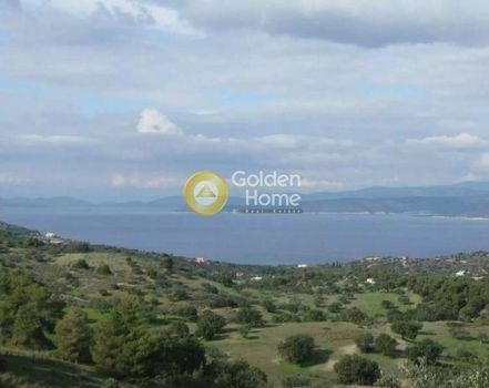 Αγροτεμάχια 50.000τ.μ. για πώληση-Κρανίδι » Λάκκες