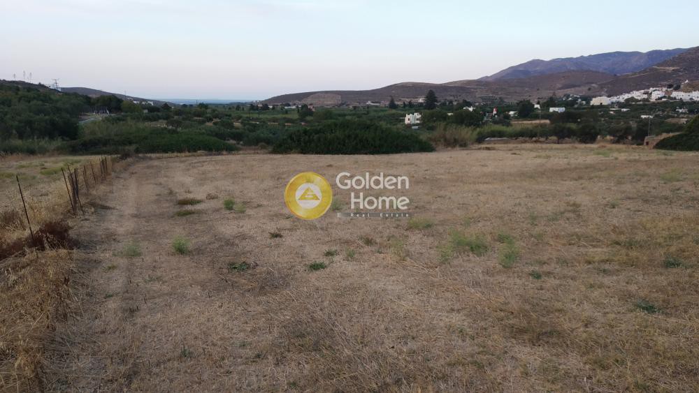 Αγροτεμάχια 3.235 τ.μ. προς πώληση, Γαλήνη Νάξου