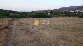 Αγροτεμάχια 3.235 τ.μ. για πώληση