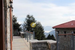 Ξενοδοχείο 1.600 τ.μ. για πώληση, Αρκαδία, Λεβίδι-thumb-21