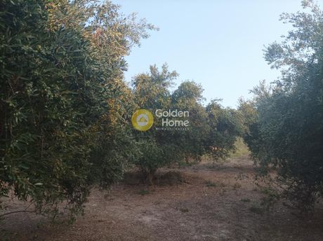 Parcel 5.214sqm for sale-Arkadi » Mesi