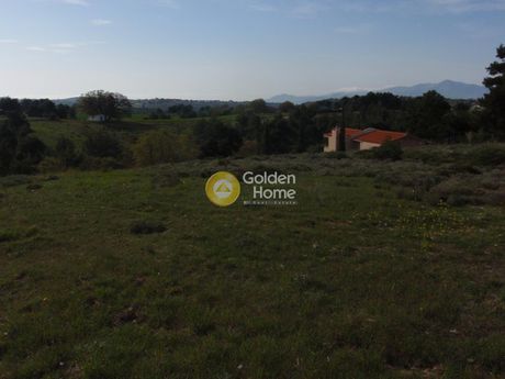Parcel 8.500sqm for sale-Ermioni » Metochi