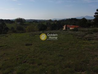 Αγροτεμάχια 8.500 τ.μ. για πώληση