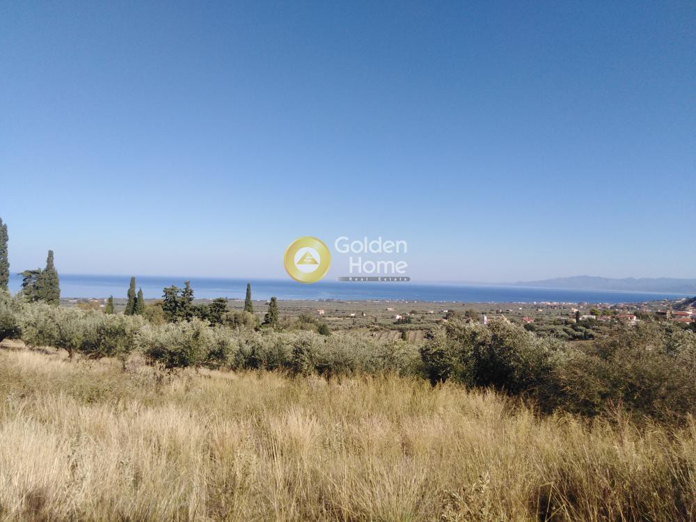 Αγροτεμάχια 2.100 τ.μ. προς πώληση, Κάμπος Κυπαρισσίας