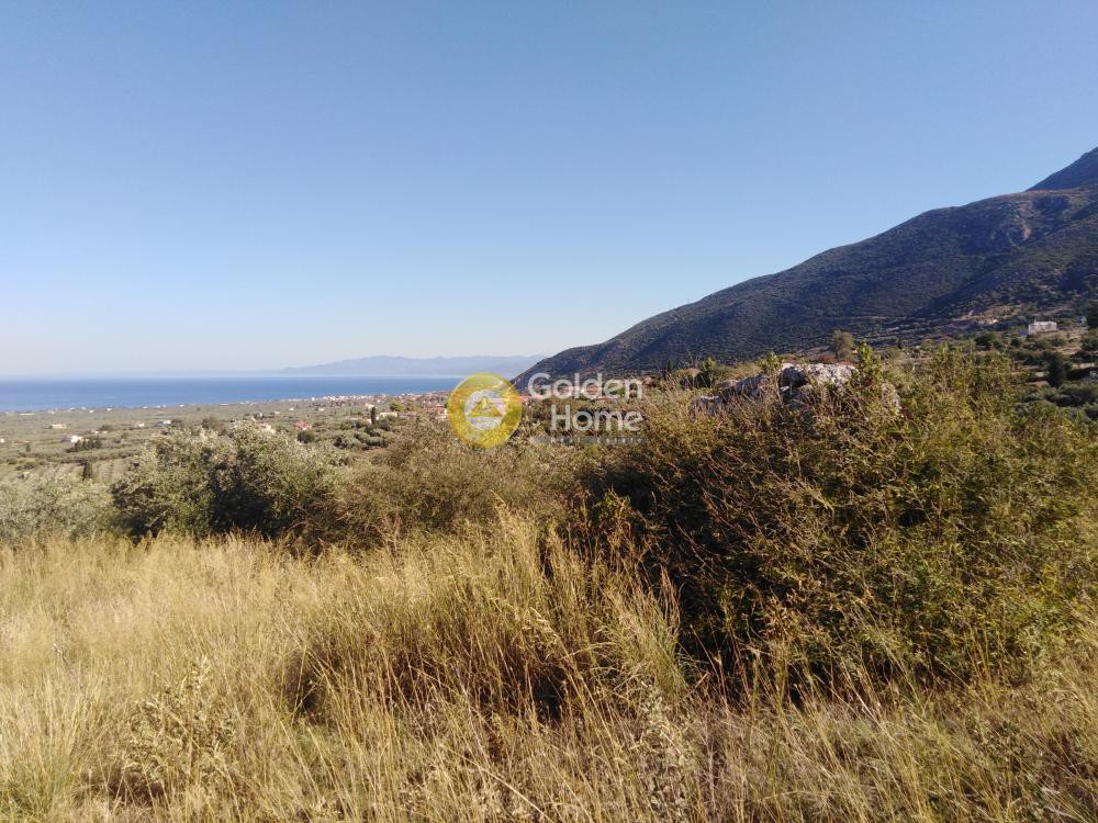 Αγροτεμάχια 2.100 τ.μ. προς πώληση, Κάμπος Κυπαρισσίας