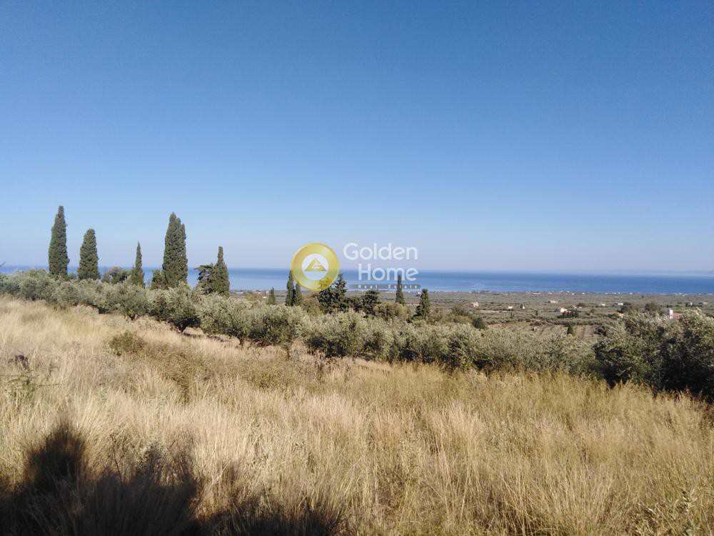 Αγροτεμάχια 2.100 τ.μ. προς πώληση, Κάμπος Κυπαρισσίας