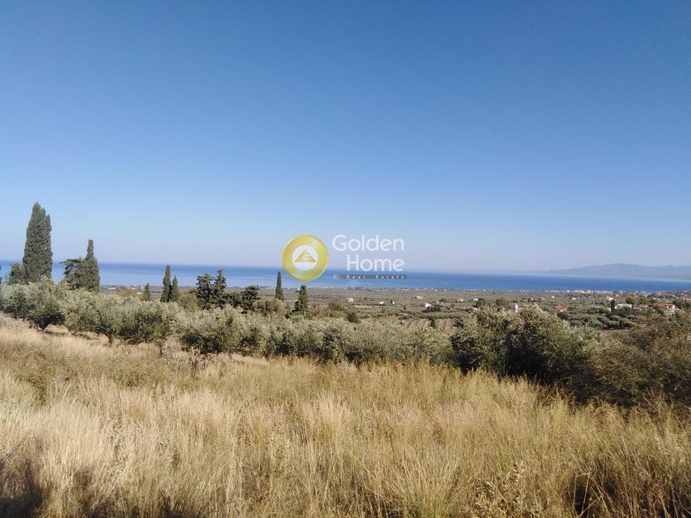 Αγροτεμάχια 2.100 τ.μ. προς πώληση, Κάμπος Κυπαρισσίας