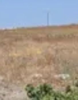 Οικόπεδο 4.000τ.μ. για πώληση-Δονούσα » Χώρα