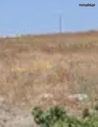 Οικόπεδο 4.000 τ.μ. για πώληση, Κυκλάδες, Δονούσα