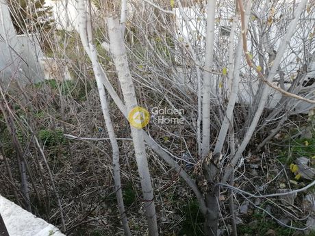 Οικόπεδο 170τ.μ. για πώληση-Νέα φιλαδέλφεια » Κόκκινος μύλος