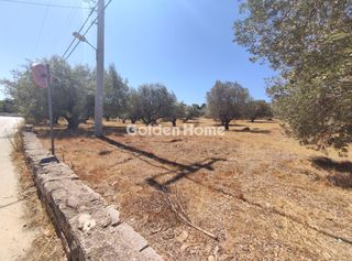 Αγροτεμάχια 7.800 τ.μ. για πώληση