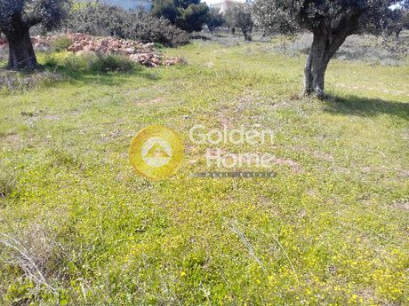 Αγροτεμάχια 8.000τ.μ. για πώληση-Ανάβυσσος » Μαύρο λιθάρι