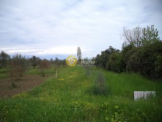 Αγροτεμάχια 2.730 τ.μ. για πώληση