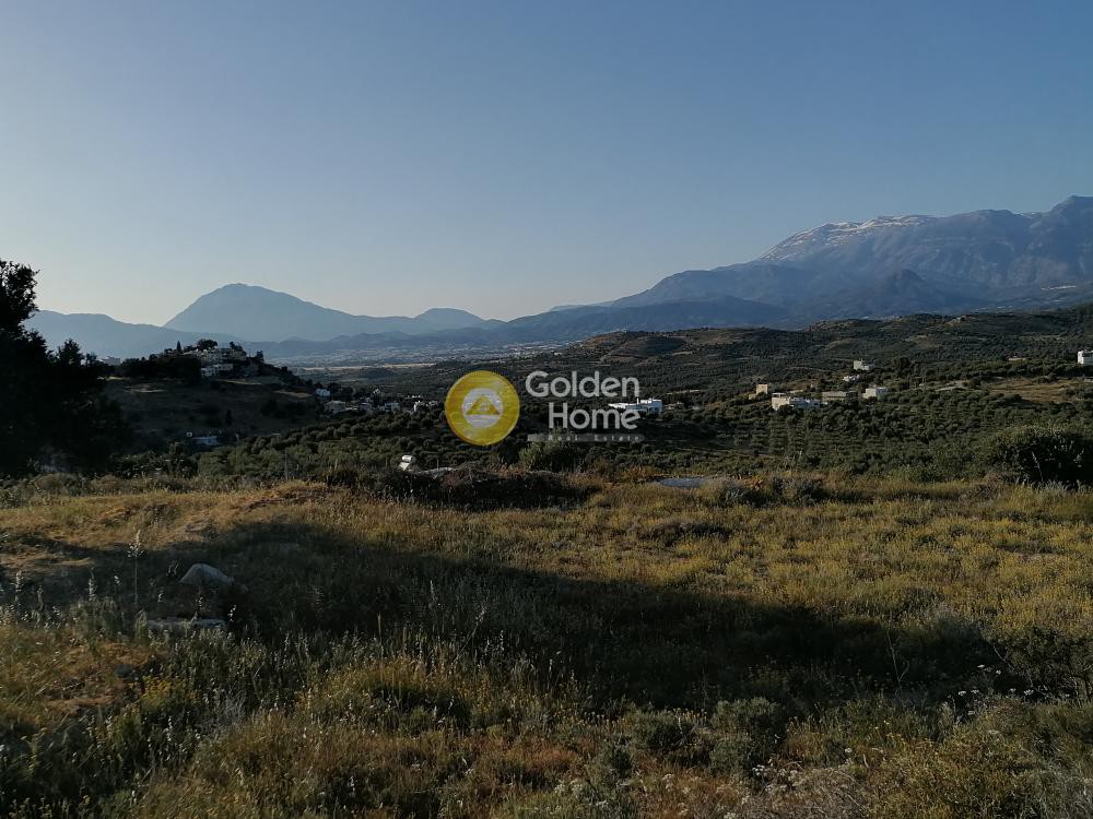 Αγροτεμάχια 5.329 τ.μ. προς πώληση, Καμηλάρι