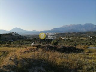 Αγροτεμάχια 5.329 τ.μ. για πώληση