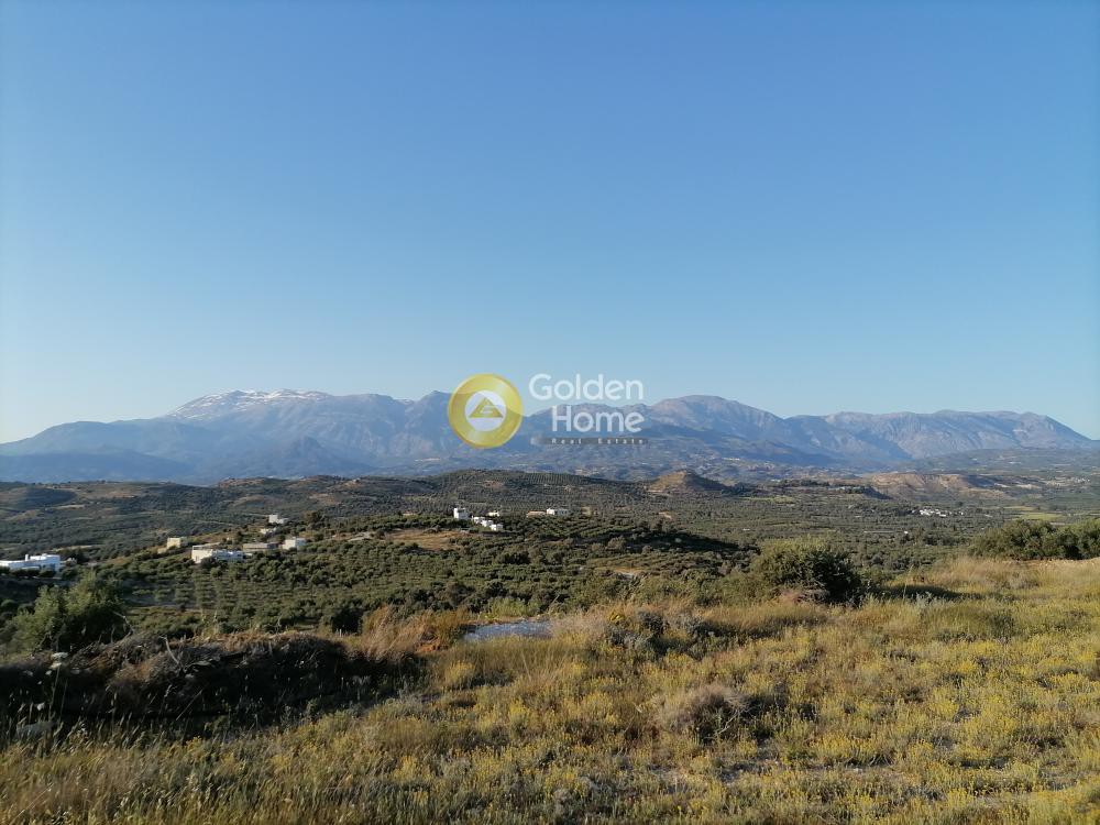 Αγροτεμάχια 5.329 τ.μ. προς πώληση, Καμηλάρι