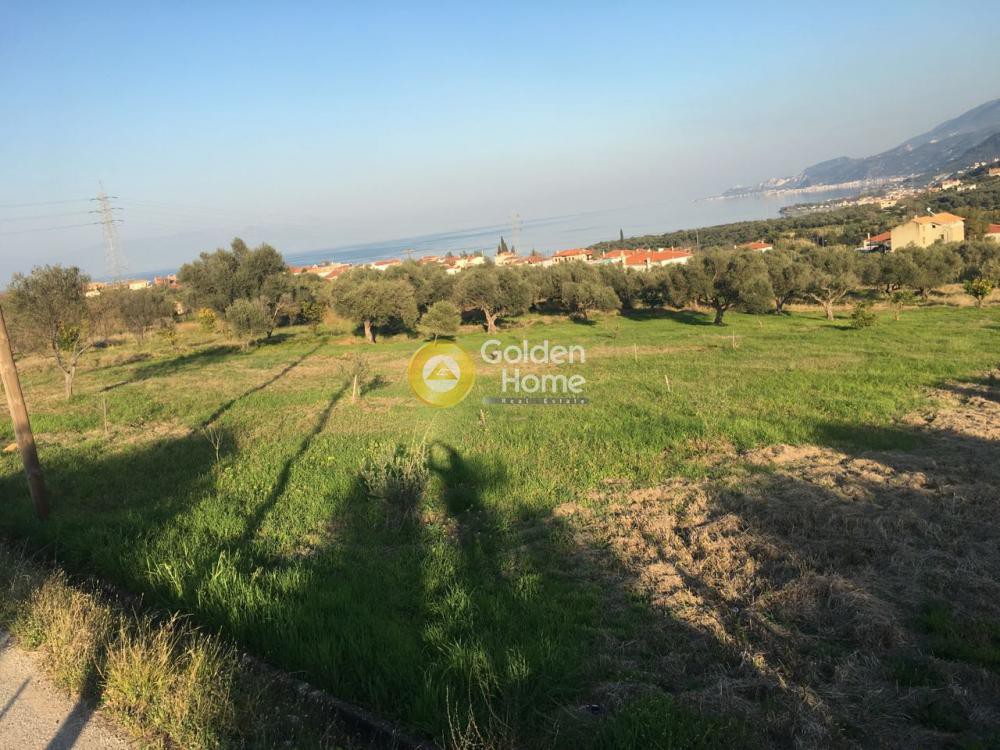 Οικόπεδο 2.766 τ.μ. προς πώληση, Συλιβαινιώτικα