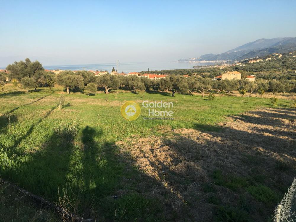 Οικόπεδο 2.766 τ.μ. προς πώληση, Συλιβαινιώτικα