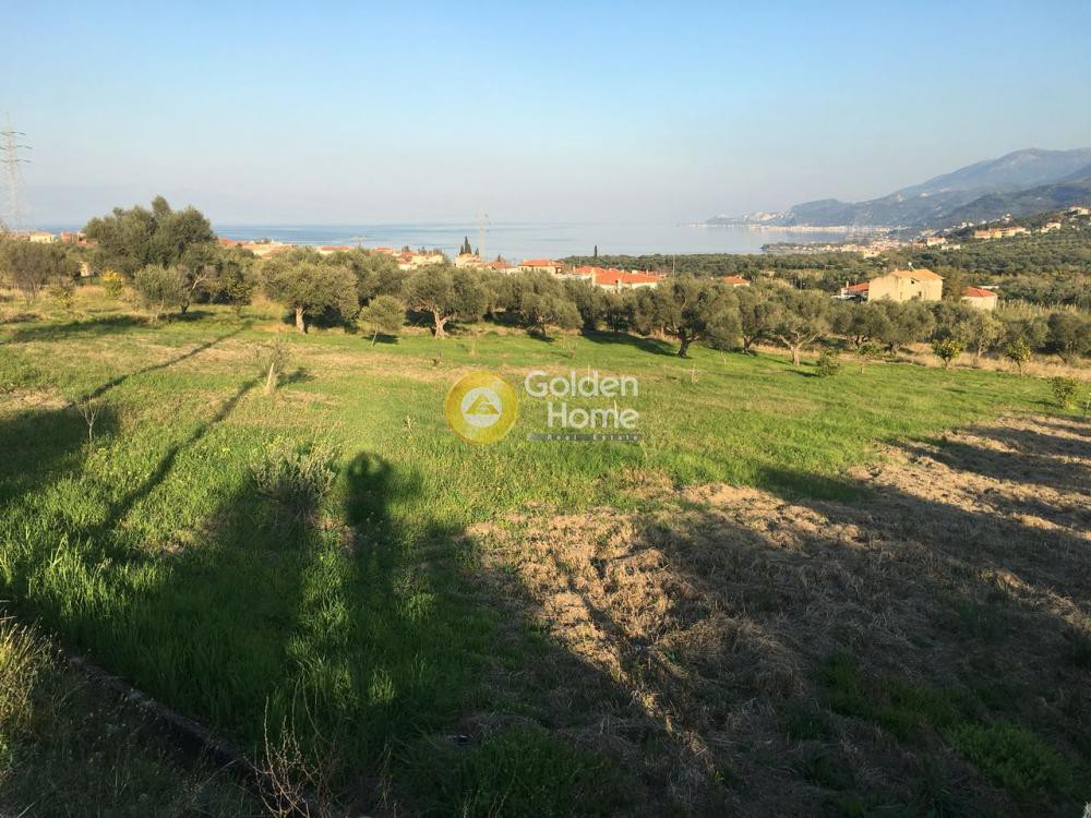 Οικόπεδο 2.766 τ.μ. προς πώληση, Συλιβαινιώτικα