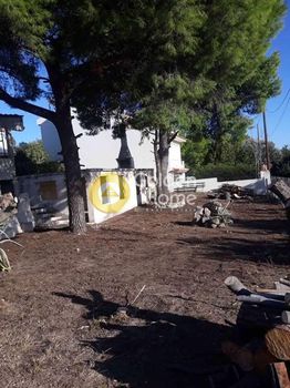 Οικόπεδο 460τ.μ. για πώληση-Μαρκόπουλο » Αγία τριάδα