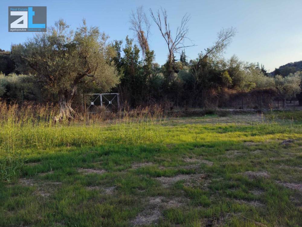 Αγροτεμάχια 3.380 τ.μ. προς πώληση, Μιντιλόγλι