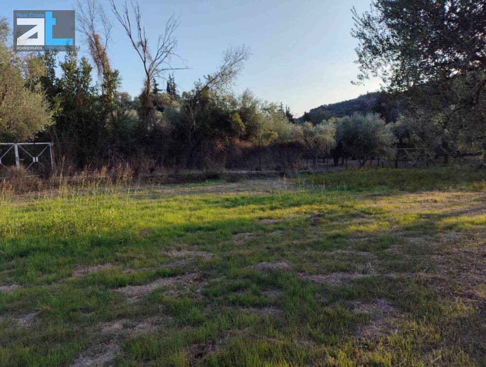 Αγροτεμάχια 3.380 τ.μ. προς πώληση, Μιντιλόγλι