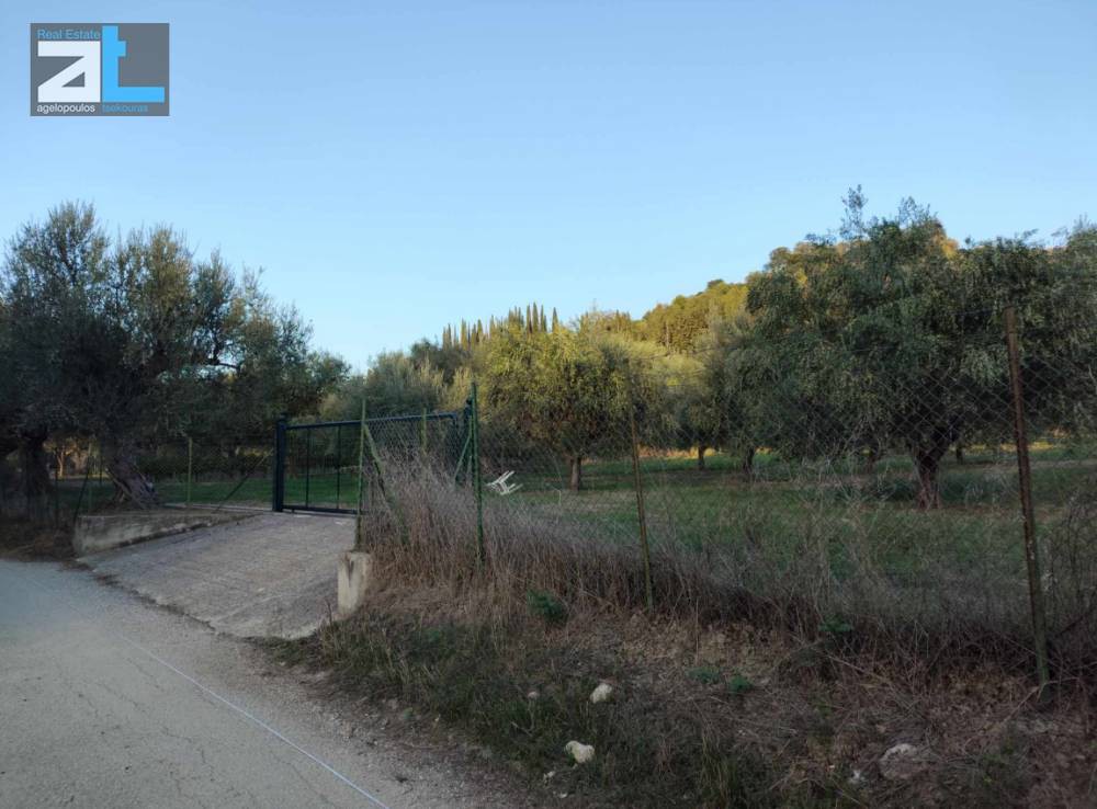 Αγροτεμάχια 3.380 τ.μ. προς πώληση, Μιντιλόγλι