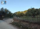 Parcel 3.380sqm for sale-Paralia » Mintilogli