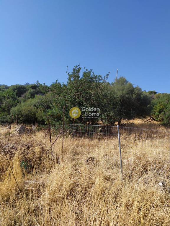 Οικόπεδο 3.300 τ.μ. προς πώληση, Αγριανά