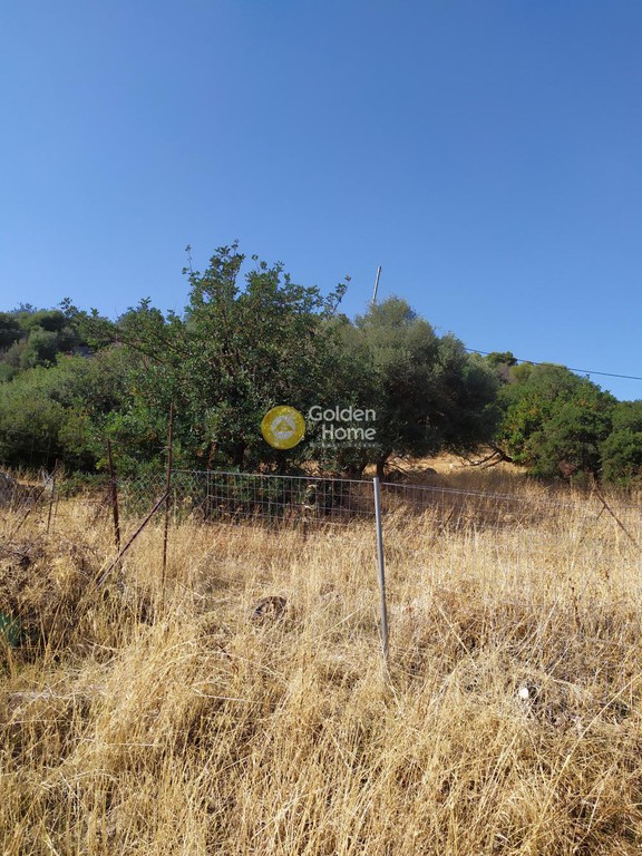 Οικόπεδο 3.300 τ.μ. προς πώληση, Αγριανά
