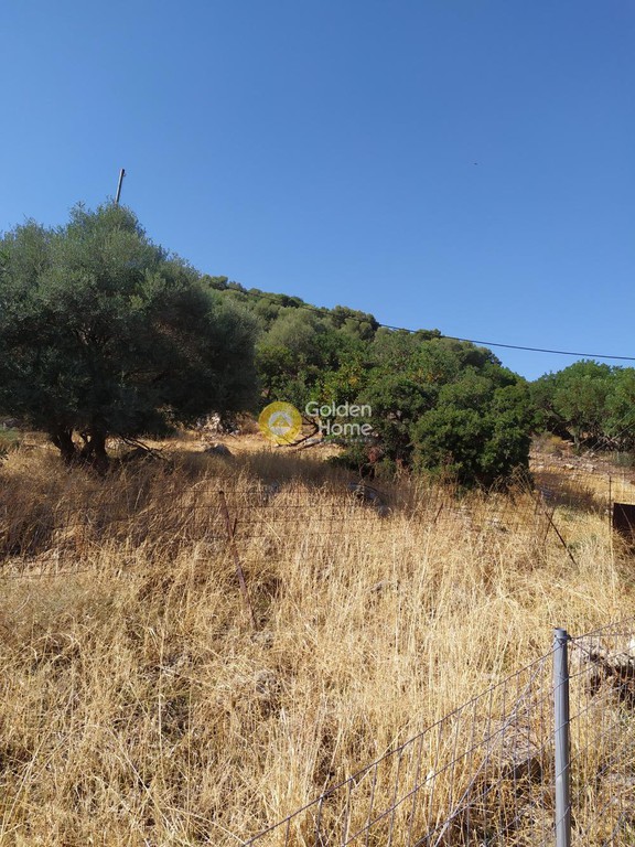 Οικόπεδο 3.300 τ.μ. προς πώληση, Αγριανά
