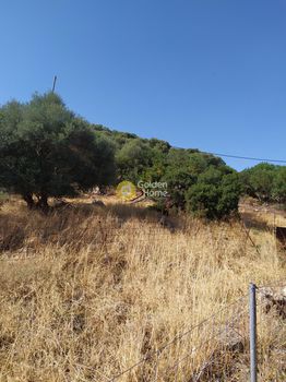 Οικόπεδο 3.300τ.μ. για πώληση-Χερσόνησος » Αγριανά