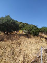 Οικόπεδο 3.300 τ.μ. για πώληση