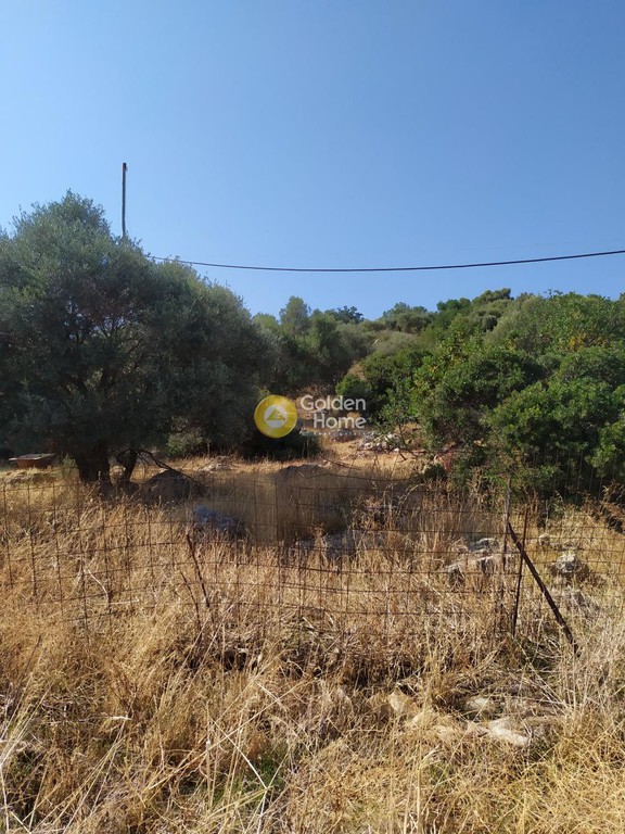 Οικόπεδο 3.300 τ.μ. προς πώληση, Αγριανά