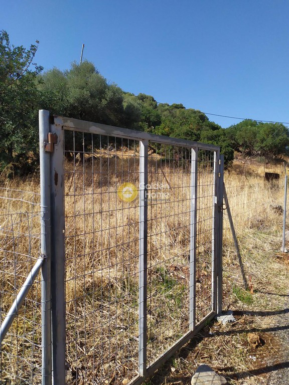 Οικόπεδο 3.300 τ.μ. προς πώληση, Αγριανά