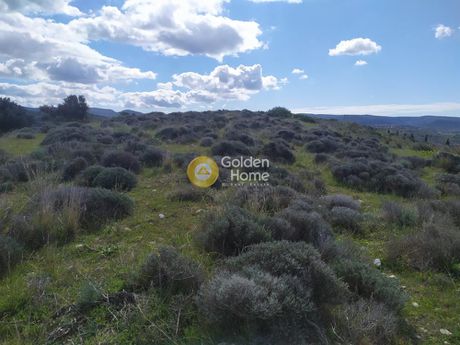 Land plot 9.000 sqm for sale
