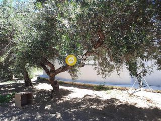 Οικόπεδο 1.028 τ.μ. για πώληση