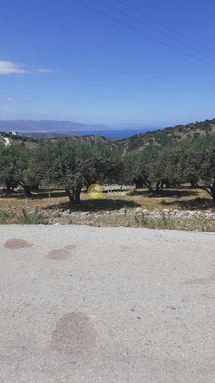 Οικόπεδο 1.000 τ.μ. για πώληση, Ν. Λασιθίου, Νεάπολη
