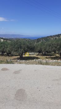 Land plot 1.000 sqm for sale