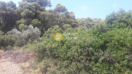 Αγροτεμάχια 4.200τ.μ. για πώληση-Λαύριο » Άνω θορικό