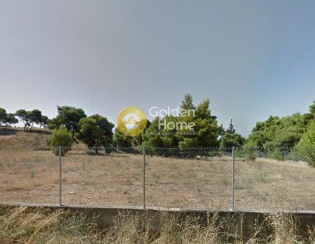 Αγροτεμάχια 7.800τ.μ. για πώληση-Μελίσσια » Όριο κηφισιάς