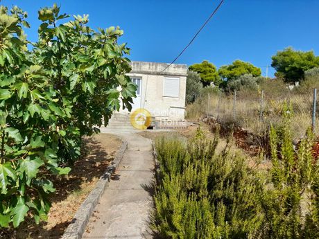 Οικόπεδο 280τ.μ. για πώληση-Ανθούσα