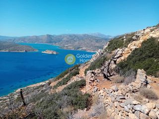 Οικόπεδο 20.000 τ.μ. για πώληση, Ν. Λασιθίου, Άγιος Νικόλαος-thumb-16