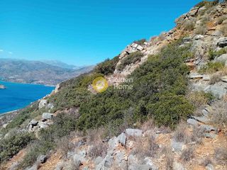 Οικόπεδο 20.000 τ.μ. για πώληση, Ν. Λασιθίου, Άγιος Νικόλαος-thumb-30