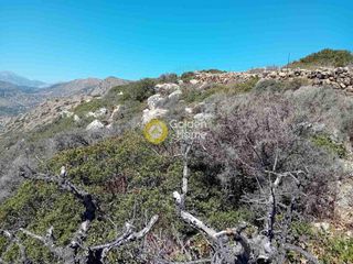 Οικόπεδο 20.000 τ.μ. για πώληση, Ν. Λασιθίου, Άγιος Νικόλαος-thumb-25