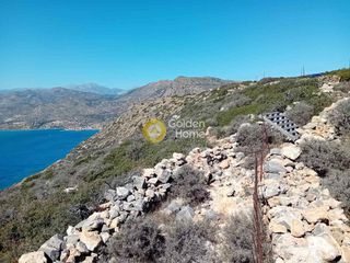 Οικόπεδο 20.000 τ.μ. για πώληση, Ν. Λασιθίου, Άγιος Νικόλαος-thumb-4