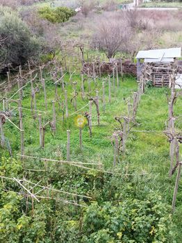 Οικόπεδο 1.094τ.μ. για πώληση-Καστέλλι » Πολυθέα
